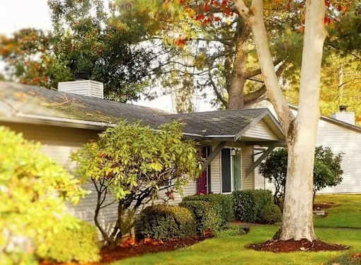 A house with a red door and a tree in front.