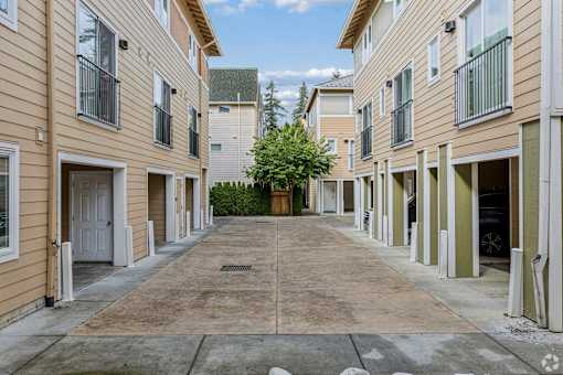 A tree is in the middle of a courtyard surrounded by buildings.