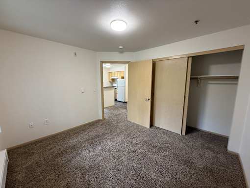 A room with a carpeted floor and a small kitchen area in the background.