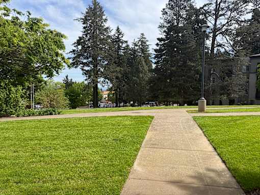 A concrete walkway leads through a grassy area with trees on either side.