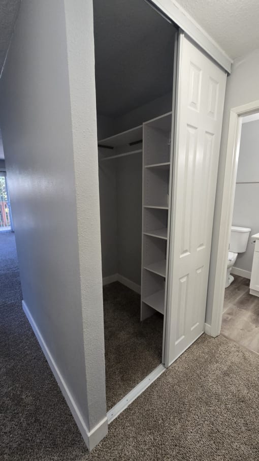 a closet in a bathroom with shelves and a door