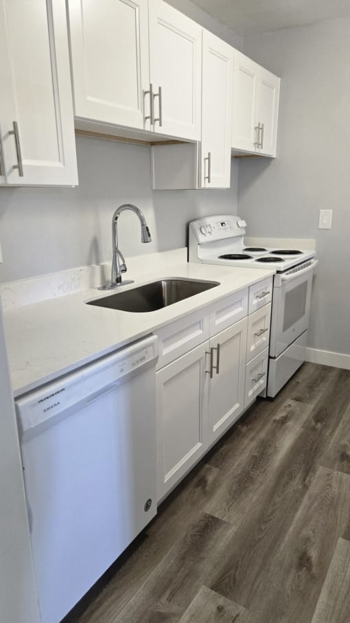 a kitchen with white cabinets and a sink and a dishwasher