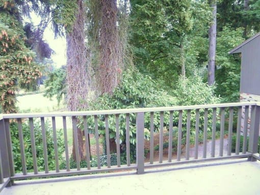 Patio View