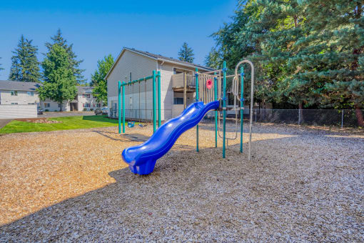 Play Area