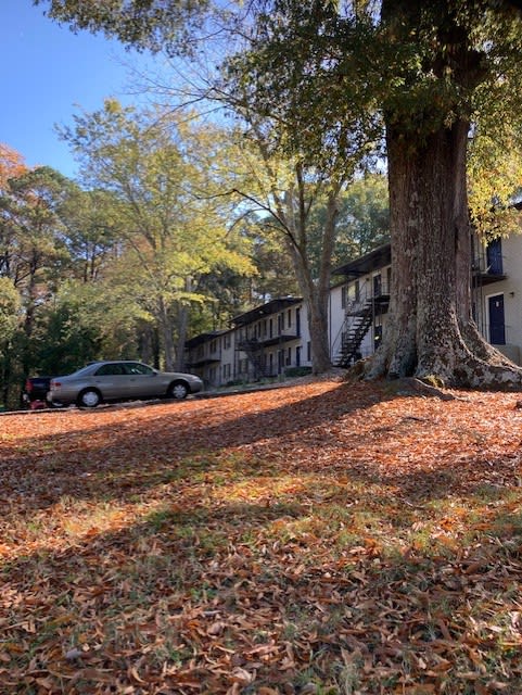 a car parked next to a tree in a yard