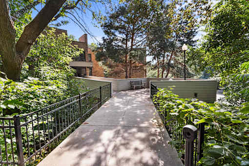 A walkway with a metal railing and trees on both sides.