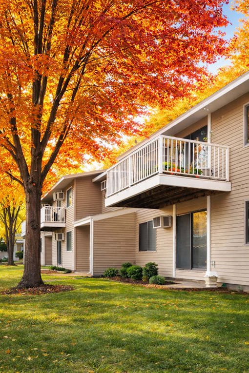 A tree with orange leaves is in front of a building.