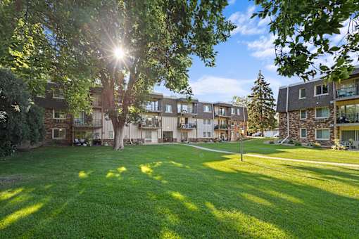 A sunny day in a grassy area with trees and buildings in the background.