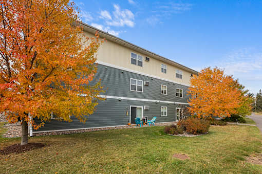 A tree with orange leaves is in front of a grey building.