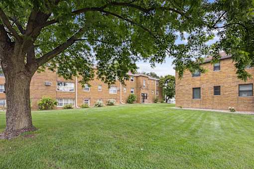 A tree in front of a brick building.