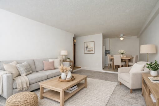 A living room with a grey couch, a wooden coffee table, and a white rug.