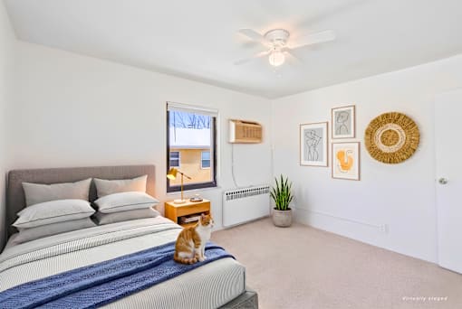 A cat is sitting on a bed in a bedroom with a ceiling fan.