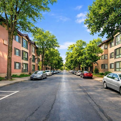 A tree-lined street with cars parked on both sides.