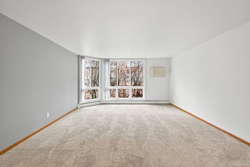 A room with a carpeted floor and a window with a view of trees.