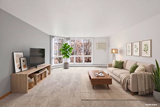 A living room with a couch, a coffee table, a television, and a potted plant.