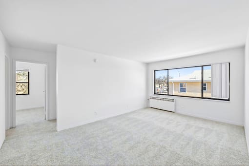 A large, empty room with a carpeted floor and a window showing a view of a street.