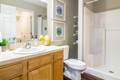 Elyria OH Apartment Rentals Redwood Elyria Bathroom