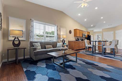 A living room with a grey couch and a blue rug.