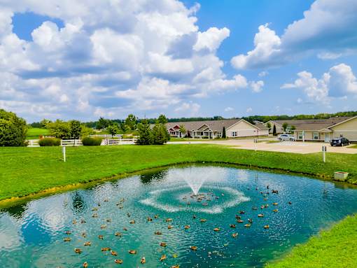 A fountain in the middle of a pond with ducks swimming around it.
