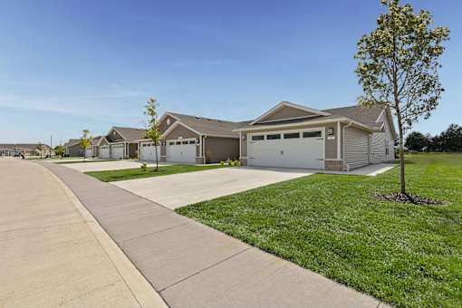 A tree stands in front of a house with a driveway leading to the garage.