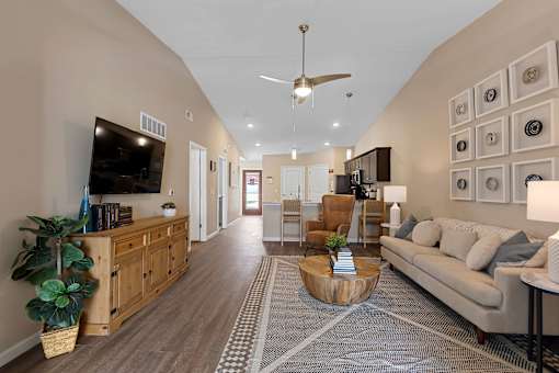 A living room with a television, couch, and a plant.
