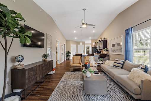 A living room with a grey sofa, a grey coffee table, a wooden cabinet, a TV, a plant, and a rug.