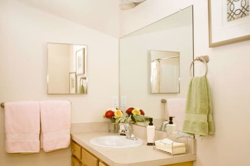 Wooster Ohio Apartment rentals Redwood wooster mindy lane bathroom
