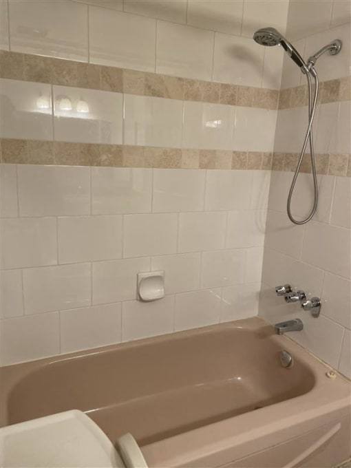 a bathroom with a bath tub and a shower