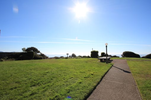 a grassy park with a bench and a lamp post on a sunny day