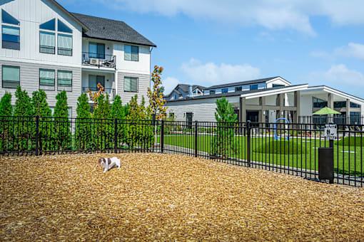 A dog is sitting on a pile of mulch in front of a building.