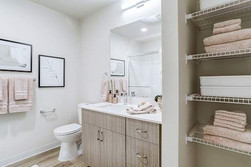 a bathroom with a sink and a toilet and a mirror
