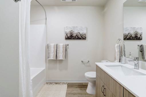 a bathroom with a sink toilet and a shower