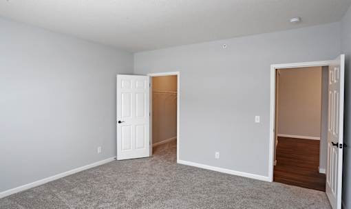 A room with a white door and a brown door.