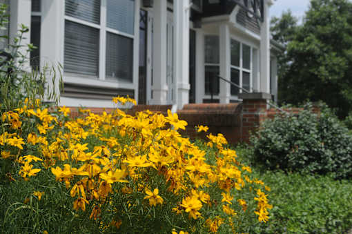 A white house with a garden in front.