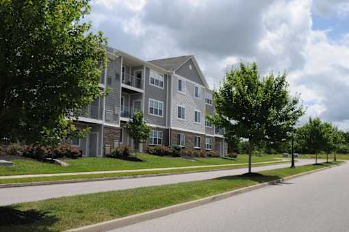 A large apartment building with a tree in front of it.
