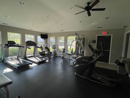 A gym with treadmills, elliptical machines, and a fan.