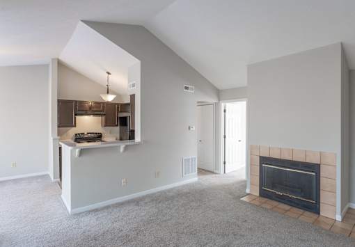 A living room with a fireplace and a kitchen area in the background.