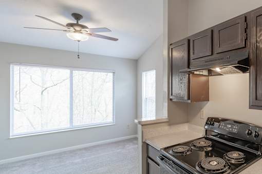A kitchen with a stove, fan, and cabinets.