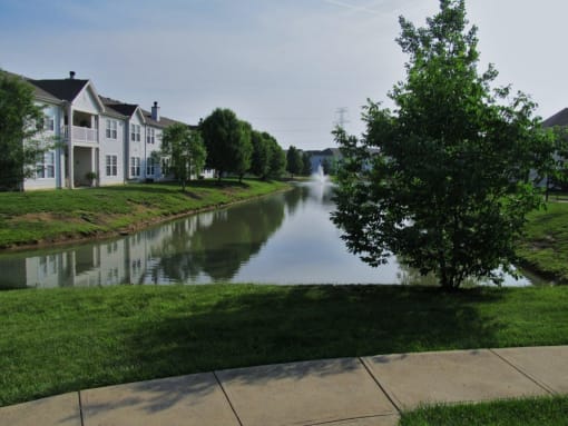 A tree stands on the grass next to a river. at Twin Fountains Apartments, Ohio, 45040