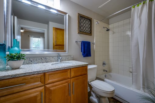 Oversized Soaking Tub In Bath at Riachi at One21, Plano, TX, 75025
