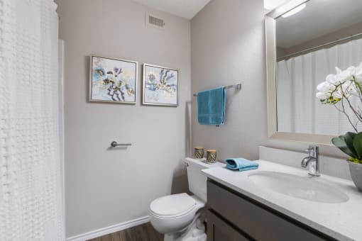 Modern Bathroom Fittings at Wellington at Willow Bend, Plano, TX, 75093