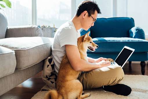 A man is sitting on the floor with a laptop and a dog is sitting next to him.