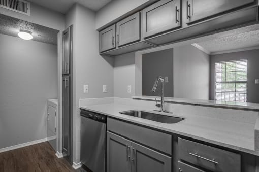 Kitchen Sink at Wellington at Willow Bend, Plano, 75093