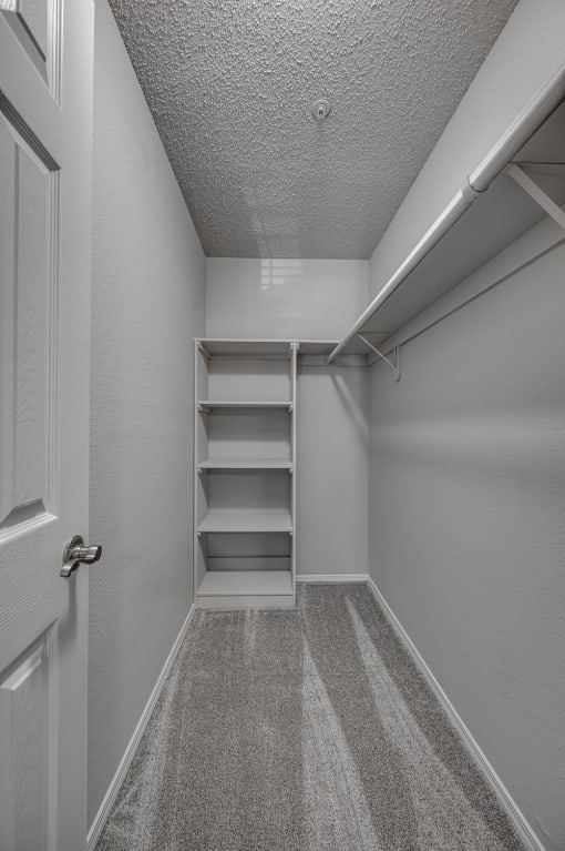 Large Closet at Wellington at Willow Bend, Plano, TX, 75093