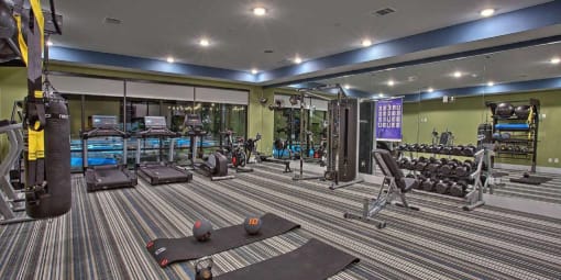 a fitness center with a lot of weights on the floor at Hunters Creek Apartments, Denton, TX