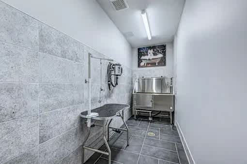 A bathroom with a shower and a sink.