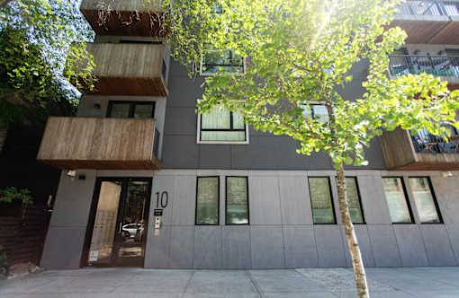A modern building with a tree in front of it.