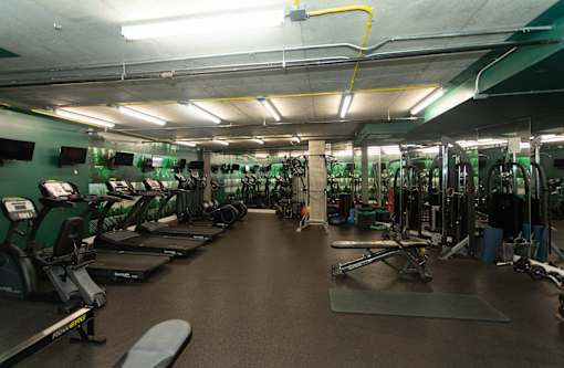 A gym with treadmills, weights, and exercise equipment.