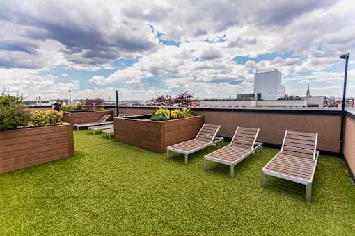 A patio with four loungers and a wooden fence.