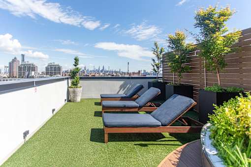 Rooftop sundeck with lounge chairs and greenery at 260 Gold Apartments, Brooklyn, 11201